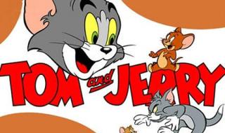 猫和老鼠消失的22集 猫和老鼠消失的22集