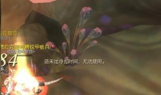 永恒之塔剑星武器