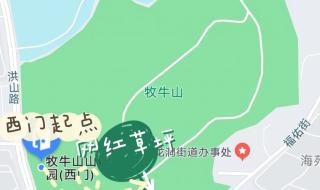 坐飞机偶遇万家灯火