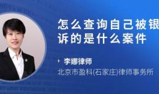 个人被起诉查询系统