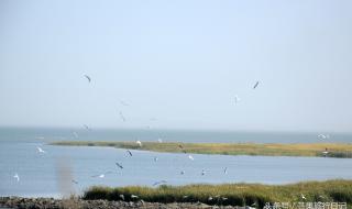 博斯腾湖位于哪个县